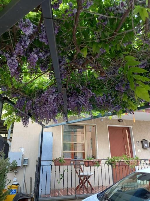 Casa Vacanze Quinci-Valle Quincinetto Eksteriør billede
